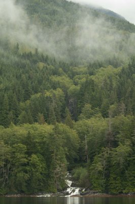 Misty Mountain