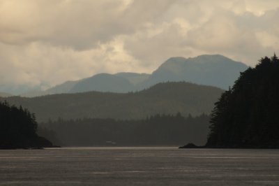 Whales