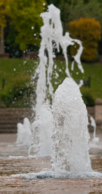 Splash