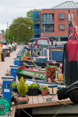 Blue Bollards