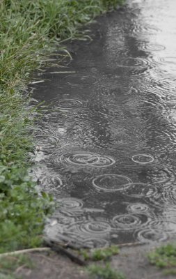 June 12 - Rain Stopped Play