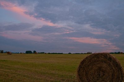 Aug 23 - Making Hay