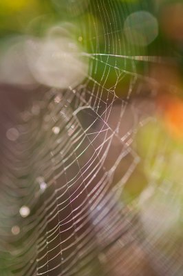 Oct 1 - Learning Macro