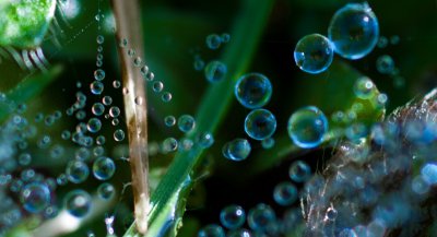 Raindrops and Dewdrops