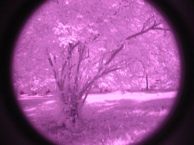 2012.05.27 Infra Red Experiments Nikon CoolPix 5400