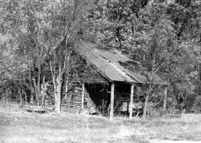 5 bw Wagon shed.jpg