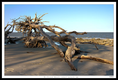 K5__6849_50_51_52_53CS5-HDR_W1200.jpg