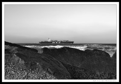 K5__9994+4CS5-HDR_18x12-Laptop_w1200-Grayscale.jpg