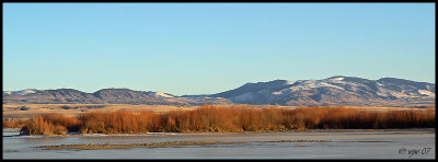 Canyon Ferry Wildlife Management Area near Townsend Montana