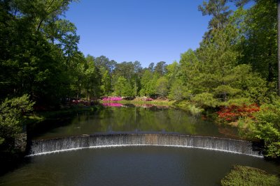 Callaway Gardens - 05.jpg