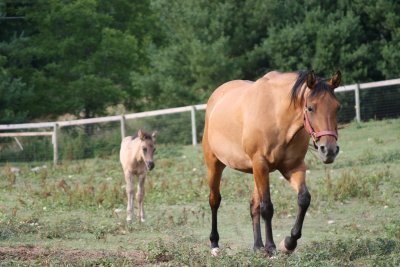 0707_Tennessee_23.JPG