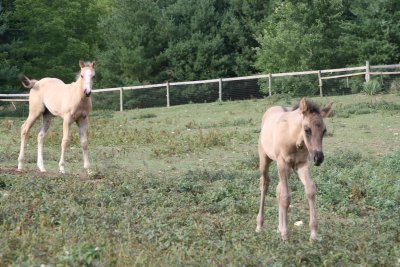 0707_Tennessee_27.JPG