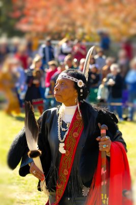 PowWow2010 - 11.jpg