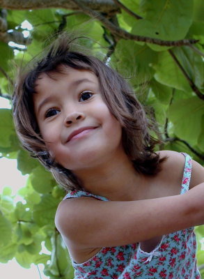 tree climber