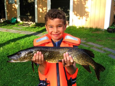 Trout and Pike!!!