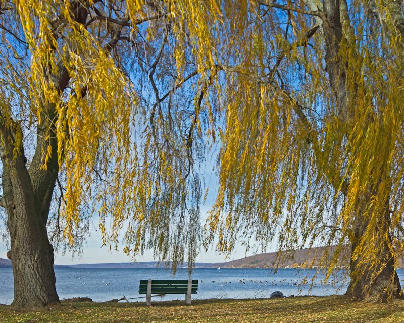 Bench & Willow