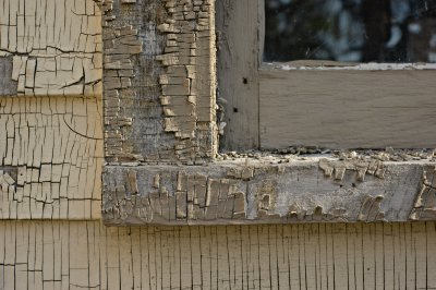 Peeling Paint