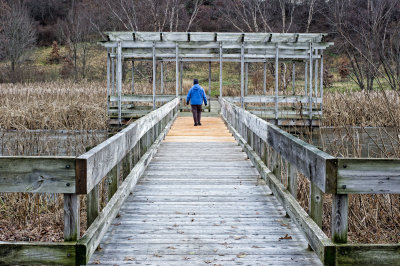 Pergola