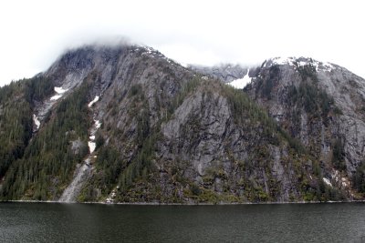 Day 3 (Tracy Arm)