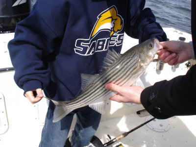 4/7/2011 Mairer Family Charter Catch and Release Down Time Charters
