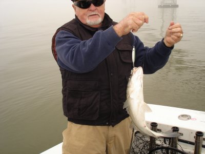 05-DEC-2011 late season jigging at the bridge offers some great fishing
