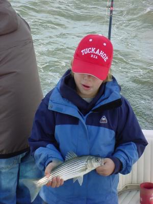 11/12/2005 - Galegos Charter - Sorry another release
