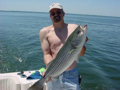 2006 Spring Trophy Striped Bass Season - Chesapeake Bay Sportfishing with Down Time Charters