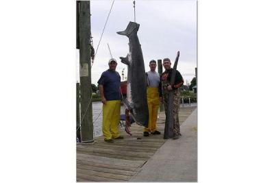 Mike Ambler with big Thresher