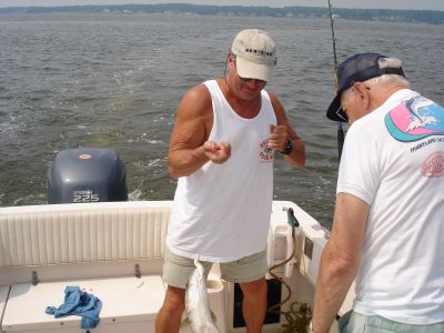 7/12/2006 - Sam and Ray bring in a nice Striper