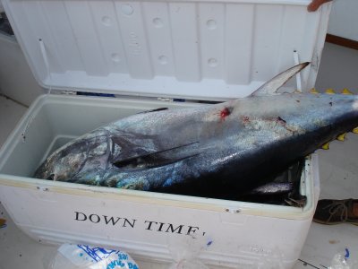 7/30/2006 - 118# BF Tuna with Burt, Ray and Frank