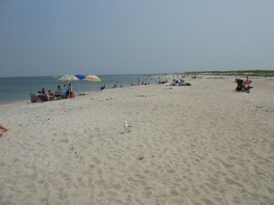 Crane Beach