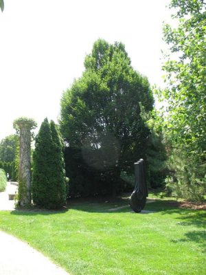 IMG_1583 (Medium).jpg
