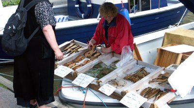 Boat Market