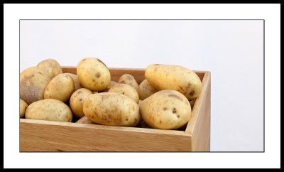 Spuds