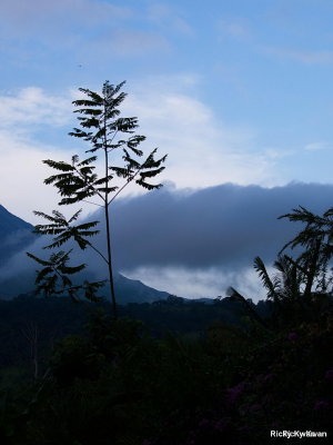 CostaRica_083.JPG