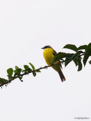 CostaRica_100.JPG
