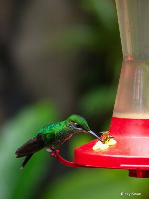 CostaRica_136.JPG