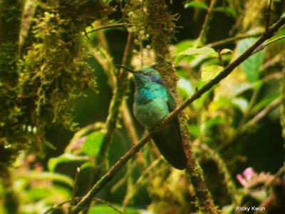CostaRica_137.JPG