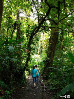 CostaRica_150.JPG