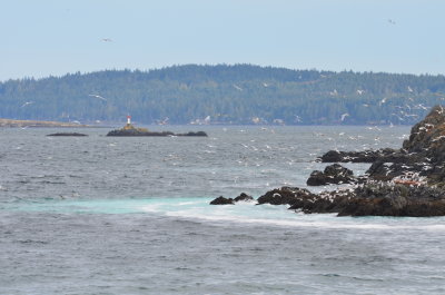 DSC_1169.JPG