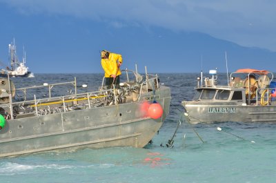 DSC_1203.JPG