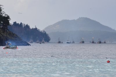 DSC_1225.JPG