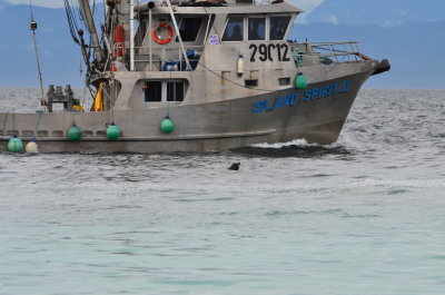 DSC_1368.JPG