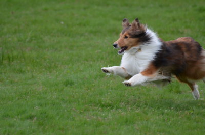 DSC_2274.JPG