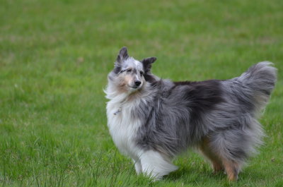 DSC_2276.JPG