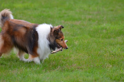 DSC_2296.JPG