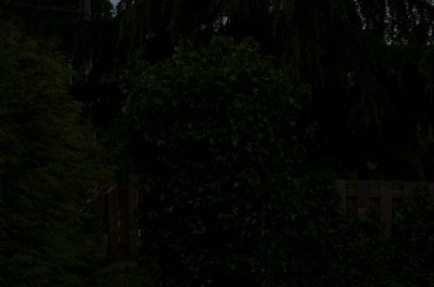 DSC_3602_032.JPG