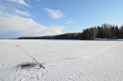 DSC_4632.JPG