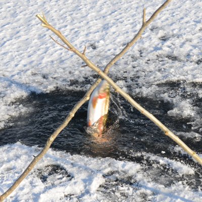 DSC_4676.JPG