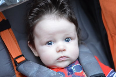 4-6 months